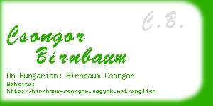 csongor birnbaum business card